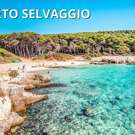 Torre Inserraglio Casa Smeraldo Mare A Sud Di Porto Cesareo מראה חיצוני תמונה